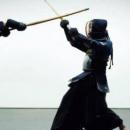 46794-kendo-kendo-3