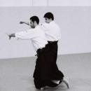 Aikido-1-19