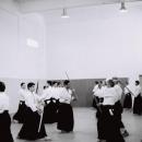 Aikido-1-2