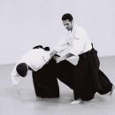 Aikido-1-20