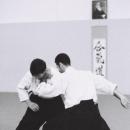 Aikido-1-21