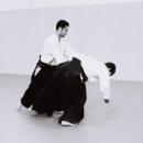 Aikido-1-24