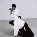 Aikido-1-27