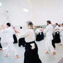 Aikido-1-29