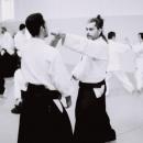 Aikido-1-5