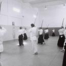 Aikido-1-9